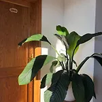 Casa Priani Alojamento de Acomodação e Pequeno-almoço Krasica (Istria)